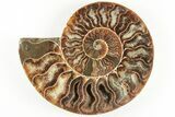 5.1" Cut & Polished, Agatized Ammonite Fossil - Madagascar - #200031-4